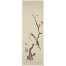 Japanese Print "An Unidentified Bird On A Branch Of A Tree" by Endo Taigaku