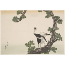 Unknown, 無款による浮世絵「Pine Tree and White Crane (matsu ni tsuru)」