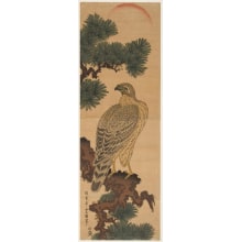 Utagawa Hiroshige II, 二歌川広重 (Utagawa Hiroshige II 二代 歌川 広重)による浮世絵「Northern Goshawk in an Pine Tree (Matsu ni o-taka)」