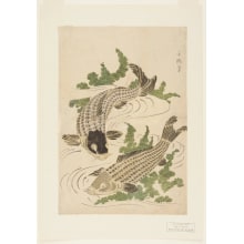 Eishosai Choki, 長喜 (Eishosai Choki)による浮世絵「Two Carp Swimming Amid Green Water Weeds」