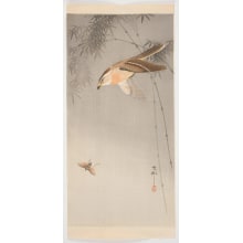 Japanischer Druck "Hawk Chasing an Insect" von Ohara Koson, 小原古邨 (Ohara (Koson) Shoson)