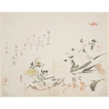 Kubo Shunman, 窪俊満 (Kubo Shunman)による浮世絵「Flowers for Ikebana」