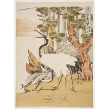 Isoda Koryusai, 磯田湖龍齋 (Isoda Koryūsai 磯田 湖龍齋)による浮世絵「Night Rain at the Japanese Larch」