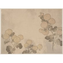 Nakamura Hochu, 中村芳中 (Nakamura Hochu)による浮世絵「Chysanthemums」