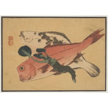 Keiriによる浮世絵「A Sole, a Gurnard and a Ginger Root」