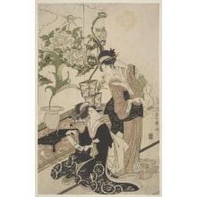 Japanischer Druck "Two Women Arranging Flowers" von Utagawa Toyohiro, 歌川豊広 (Utagawa Toyohiro 歌川 豊広)