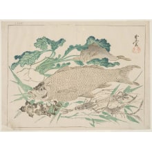 Japanischer Druck "A White Turnip, Two Fish and several Shrimps" von Kawanabe Kyosai, 河鍋暁斎 (Kawanabe Kyosai)