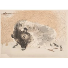 Takeuchi Seiho创作的日本版画《Sleeping Boar》