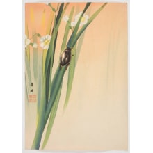 Japanese Print "Beetle" by Morita Kako