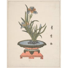 Japanese Print "An Ikebana" by Kitagawa Hidemaro, 喜多川秀麿 (KITAGAWA Hidemaro)