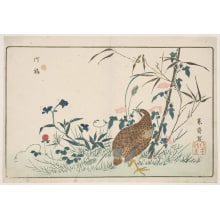 Japanese Print "Morning Glories, Bamboo, Flat Bell, Wild Strawberry and a Quail" by Kitao Masayoshi, 北尾政美 (Kitao MASAYOSHI)