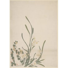 Japanese Print "Narcissus Flowers and Branches" by Kitao Masayoshi, 北尾政美 (Kitao MASAYOSHI)