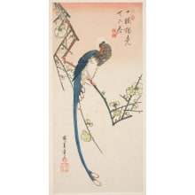 Estampe japonaise "Plum Blossoms and Eastern Blue Magpie" par Utagawa Hiroshige, 歌川広重 (Utagawa Hiroshige I 歌川 広重)