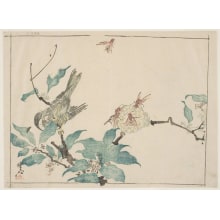 Kawanabe Kyosai, 河鍋暁斎 (Kawanabe Kyosai)による浮世絵「Bees Gathering Nectar From The Blossoms Of A Tree」