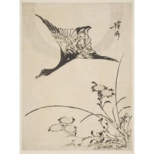 Japanese Print "Ezo-Giku Ni Gan" by Kitao Masayoshi, 北尾政美 (Kitao MASAYOSHI)