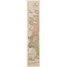 Japanischer Druck "Tree Peonies, China Ring-Necked Pheasant, And Sparrows" von Isoda Koryusai, 磯田湖龍齋 (Isoda Koryūsai 磯田 湖龍齋)