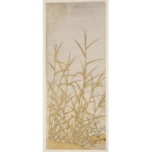Japanese Print "Reeds and Heron (Yoshi ni Sagi)" by Isoda Koryusai, 磯田湖龍齋 (Isoda Koryūsai 磯田 湖龍齋)