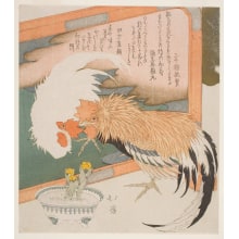 Totoya Hokkei, 魚屋北渓 (Totoya Hokkei)による浮世絵「A Live Cock and a Painted One」