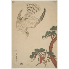 Japanese Print "Two Russet Sparrows Near a Pine Tree" by Juka Sekijo, 石上 (Sekijo)
