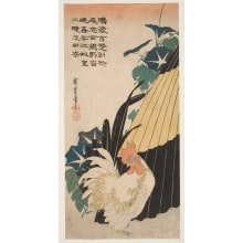 Japanese Print "Rooster near Umbrella and Morning Glories" by Utagawa Hiroshige, 歌川広重 (Utagawa Hiroshige I 歌川 広重)