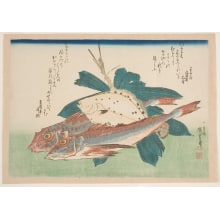 Japanese Print "Gurnards, Flatfish, and Bamboo Grass" by Utagawa Hiroshige, 歌川広重 (Utagawa Hiroshige I 歌川 広重)