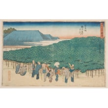 Japanese Print "The Great Pine Tree at Eh Naniwa-Ya Tea-House in Adachi Street" by Utagawa Hiroshige, 歌川広重 (Utagawa Hiroshige I 歌川 広重)