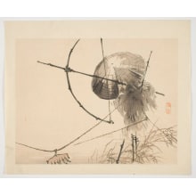 Kono Bairei, 幸野楳嶺 (Bairei Kono)による浮世絵「Scarecrow」