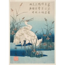 Utagawa Hiroshige, 歌川広重 (Utagawa Hiroshige I 歌川 広重)创作的日本版画《Two Little Egrets Amidst Reeds and Blue-Flag Irises (Hanashobu ni kosagi)》