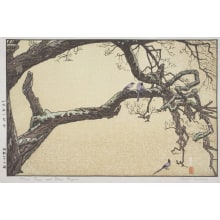 Japanese Print "Plum Tree and Blue Magpie" by Yoshida Toshi, 吉田遠志 (Toshi Yoshida)