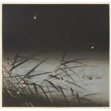 Estampe japonaise "Fireflies and Reeds" par Tsukioka Kogyo, 月岡耕漁 (Tsukioka Kogyo)