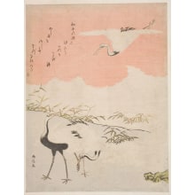 Japanischer Druck "Cranes at the Sea Shore" von Suzuki Harunobu, 鈴木春信 (Suzuki Harunobu 鈴木 春信)