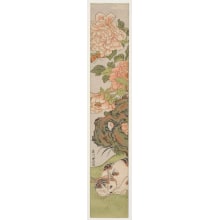 Utagawa Toyonobu 歌川 豊信创作的日本版画《Shakayaku Hana Ni Neko》
