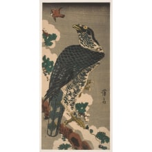 Japanischer Druck "Northern Goshawk in a Snow-Covered Pine Tree Looking at a Tree Sparrow" von Keisai Eisen, 渓斉英泉 (Keisai Eisen 渓斉 英泉)
