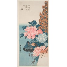 Japanischer Druck "Peony Flowers and Peacock" von Utagawa Hiroshige, 歌川広重 (Utagawa Hiroshige I 歌川 広重)