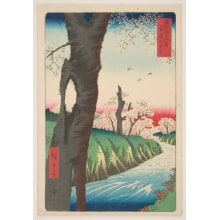 Japanese Print "Koganei in Musashi Province (Musashi Koganei)" by Utagawa Hiroshige, 歌川広重 (Utagawa Hiroshige I 歌川 広重)