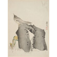 Matsumura Keibun, 松村景文 (Matsumura Keibun)创作的日本版画《Japanese Bush-Warbler (uguisu) Perched on a Rock》