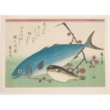 Japanischer Druck "Yellowtail, Blowfish, and Plum Branch" von Utagawa Hiroshige, 歌川広重 (Utagawa Hiroshige I 歌川 広重)