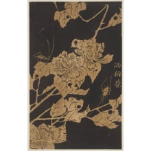 Jakuchu, 伊藤若冲 (Jakuchu Ito)创作的日本版画《Tree Peony Flowers And Small Grasshoppers》