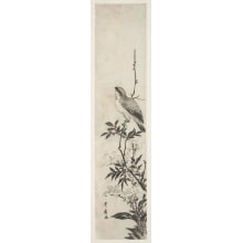 Japanischer Druck "Asters and Bird" von Utagawa Toyohiro, 歌川豊広 (Utagawa Toyohiro 歌川 豊広)
