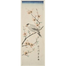 Japanischer Druck "Momo Ni Buncho" von Utagawa Yoshikazu, 歌川芳員 (Utagawa Yoshikazu)