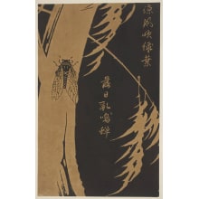 Jakuchu, 伊藤若冲 (Jakuchu Ito)创作的日本版画《A Cicada on the Trunk of a Willow Tree》