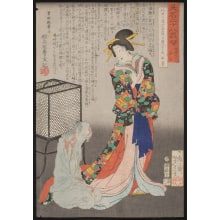 Estampe japonaise "Dakki no Ohyaku" par Tsukioka Yoshitoshi, 月岡芳年 (Tsukioka Yoshitoshi 月岡 芳年)